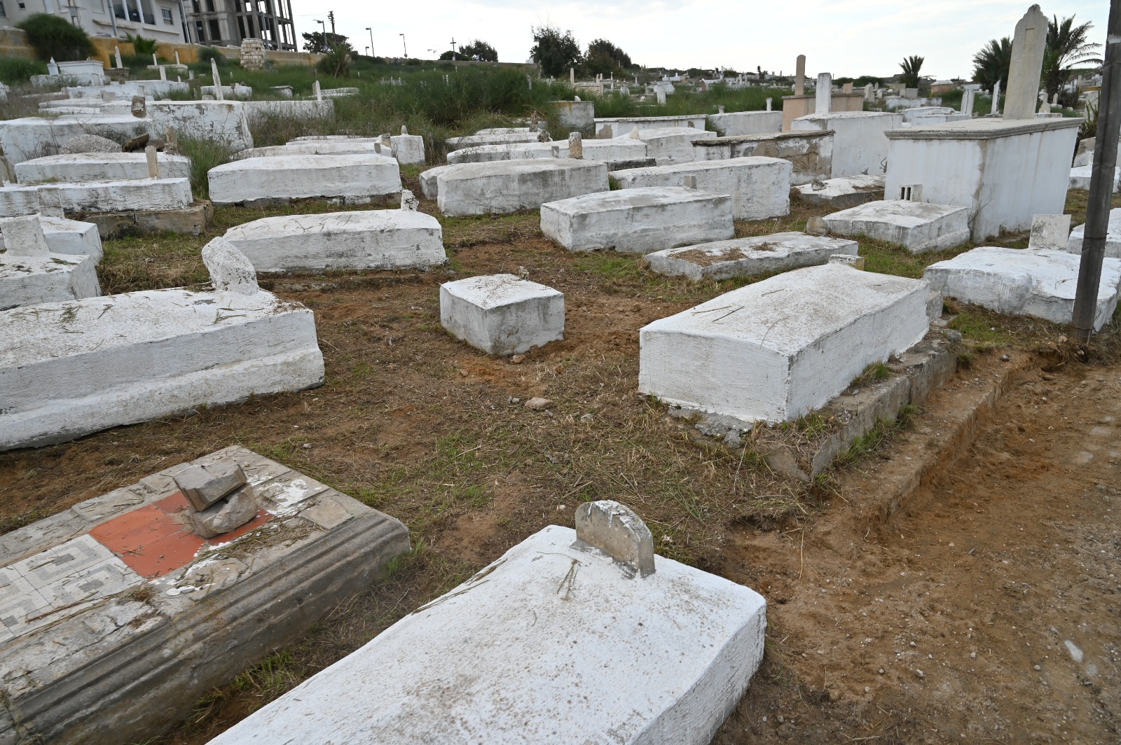 WhatsApp Image 2022-11-30 at 3.24.44 PM.jpeg